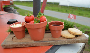 Dip Your Own on a Tractor